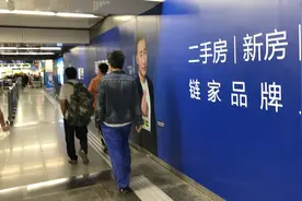 贝壳之“痛”图片