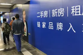 贝壳之“痛”图片