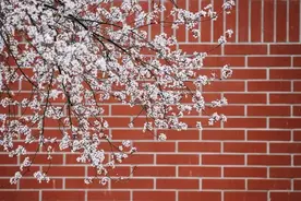上海财经大学2021年硕士研究生招生复试录取办法图片