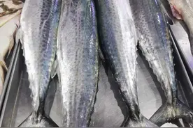 齐鲁风情｜细说民俗中的鱼文化渊源图片