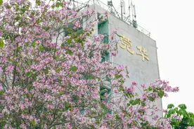 师妹好美！东莞校花让女生的我都好心动图片