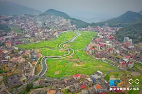 泉州虹山乡：畅游花海 邂逅春天图片