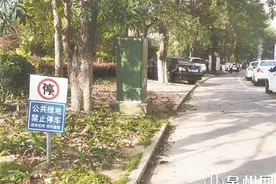 车辆道路两侧违停 绿化带的植被受损 居民出行不便图片