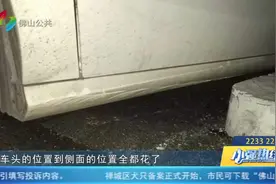开动5米就撞车，一趟死火6次 记者实测佛山代驾图片