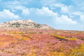 3月19日，2021年峄山桃花节盛大开幕图片