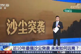 我报“我自己”！央视记者沙晨报道沙尘暴，网友：确实很合适图片