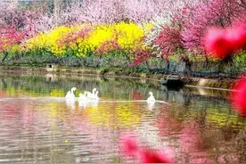游知道：成都隐藏版花花世界就在你身边｜封面天天见·逛姐出街图片
