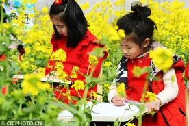 踏青写生繁花里 不负春光入画来图片