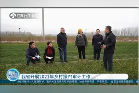 完善涉农资金全面预算绩效管理，江苏开展2021年乡村振兴审计工作视频封面