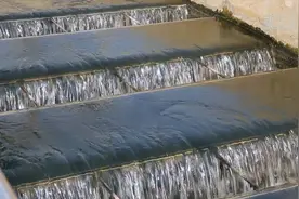 河北衡水：小麦吃上“再生水”视频封面