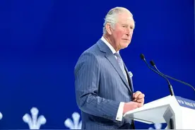 英国王储查尔斯批“反疫苗”言论图片