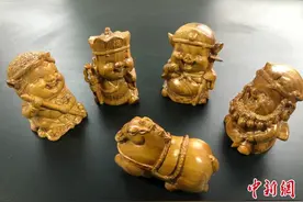 由“柴”到“良材”中国热科院科研人员不断提升橡胶木身价图片