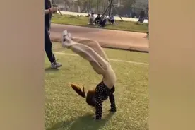 42秒｜7岁女孩一身“好功夫” 酷爱习武练出8块腹肌视频封面