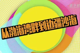 习近平总书记关切事｜“90后”职场“圆桌会”：我们这样树“三观”图片