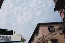 新华全媒+ | 广东就业市场新景：服装厂老板排队等着被“挑”，有零工月入上万图片