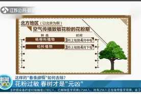 花粉过敏都是花的错？错了！春树才是“元凶”视频封面