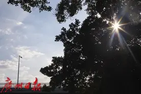 广东高温津贴标准拟调高至每人每月300元图片