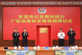 东莞新增30个广东省青年文明号，这4家今日揭牌图片