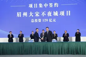 疫情影响经济受创 四川眉山东坡区缘何招商引资规模创历史新高？图片