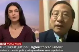 专访怒斥BBC主播涉疆提问的中国专家高志凯：她满嘴胡言视频封面