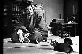 日本文学中的猫图片