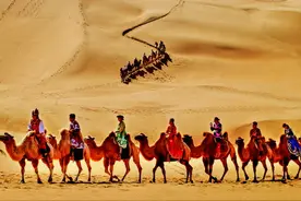 “中国骆驼之乡”有骆驼不“吹牛”图片