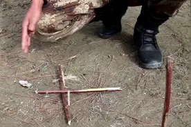 硬核科普！高原战士教你用小木棍辨方向视频封面