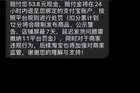 记者卧底职业打假群：300元起传授“秘籍”，“月入三万”不是梦图片