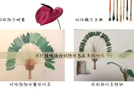 用植物科学画的方法观察一朵花丨花花万物图片