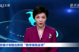 AI合成主播|欧盟计划推出新冠“数字绿色证书”视频封面