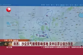 陕西：沙尘天气继续影响多地  关中以浮尘扬沙为主视频封面