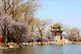 北京市属公园最全赏花攻略来了，附最佳观赏点图片