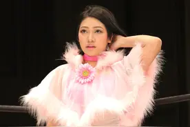 日本摔跤女星遭网暴自杀，其母起诉嫌疑男子索赔290万日元图片