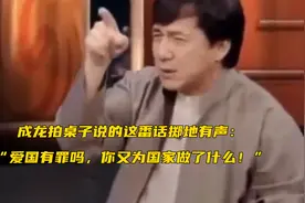 不愧是大哥，成龙拍桌子说的这番话掷地有声：“爱国有罪吗，你又为国家做了什么！”视频封面