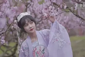 福建福安：三月又见桃花开视频封面