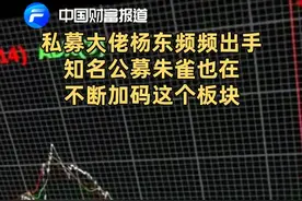中国财富报道|私募大佬杨东频频出手，知名公募朱雀也在不断加码这个板块！