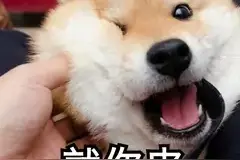 可以给孩子取名为王者荣耀吗？图片