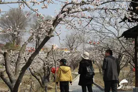 临沂市临沭县壮大全域旅游助力经济社会高质量发展图片
