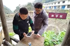 他找到“大巴山秘码”给重庆中蜂插上科技的“翅膀”图片