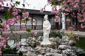 海棠院里寻春色，日炙荐红满院香图片