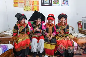 「高清组图」云南剑川：索玛花开幸福来图片