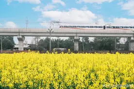 地铁！折扣！攻略！图片