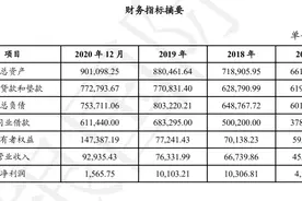 湖北消费金融去年净利润下滑84%，未偿资产存在集中风险图片