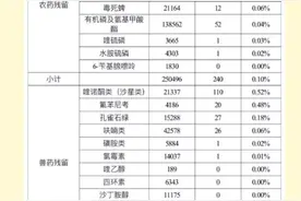 蔬菜上是否有农药残留？做个快检最快5分钟出结果，长沙已有200个民生快检室图片