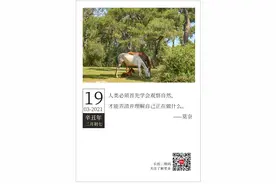 「2021.03.19」轻松早茶图片