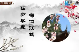独步早春 梅伫江城视频封面