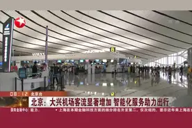 北京：大兴机场客流显著增加  智能化服务助力出行视频封面