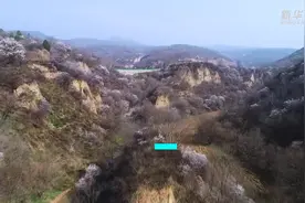 陕西扶风：山花烂漫野河山视频封面