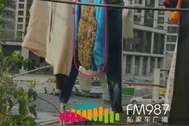 密恐慎入！女子晒了一天的衣服上爬满了虫子图片