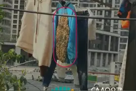 密恐慎入！女子晒了一天的衣服上爬满了虫子图片